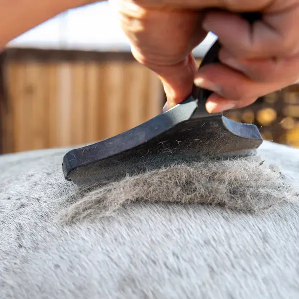 Biomane Grooming Tool 1