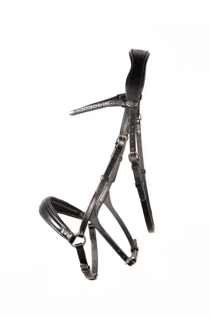 Bitless Bridle Equestri 1