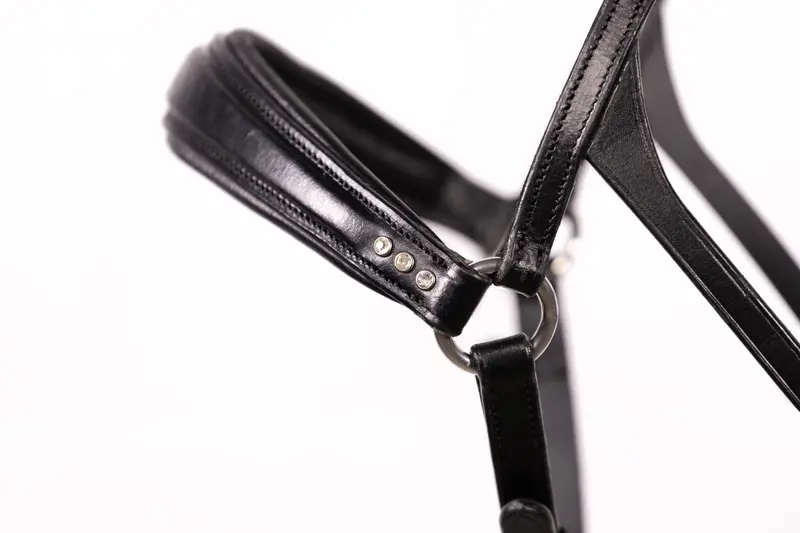 Bitless Bridle Equestri 5