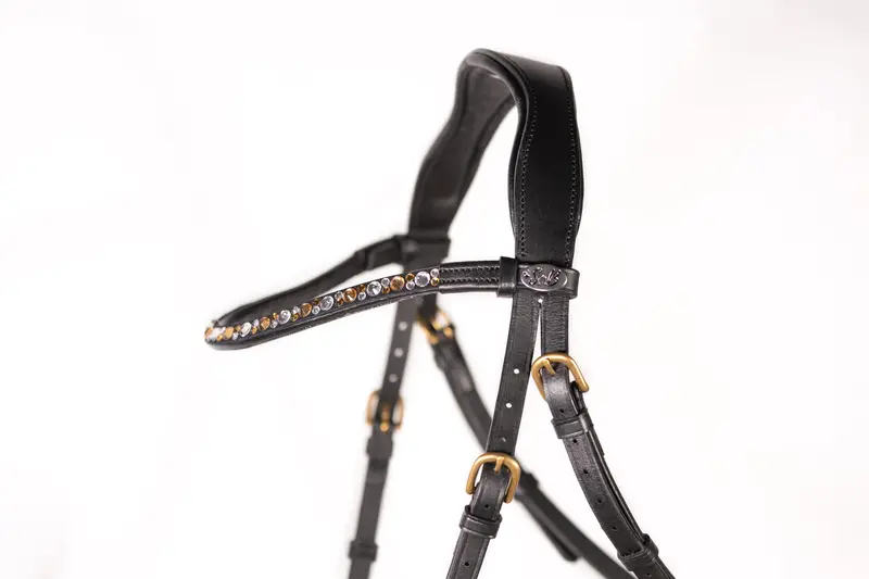 Bitless Bridle Equestri 5