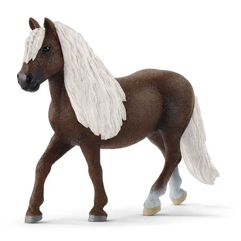 Black Forest Mare 1