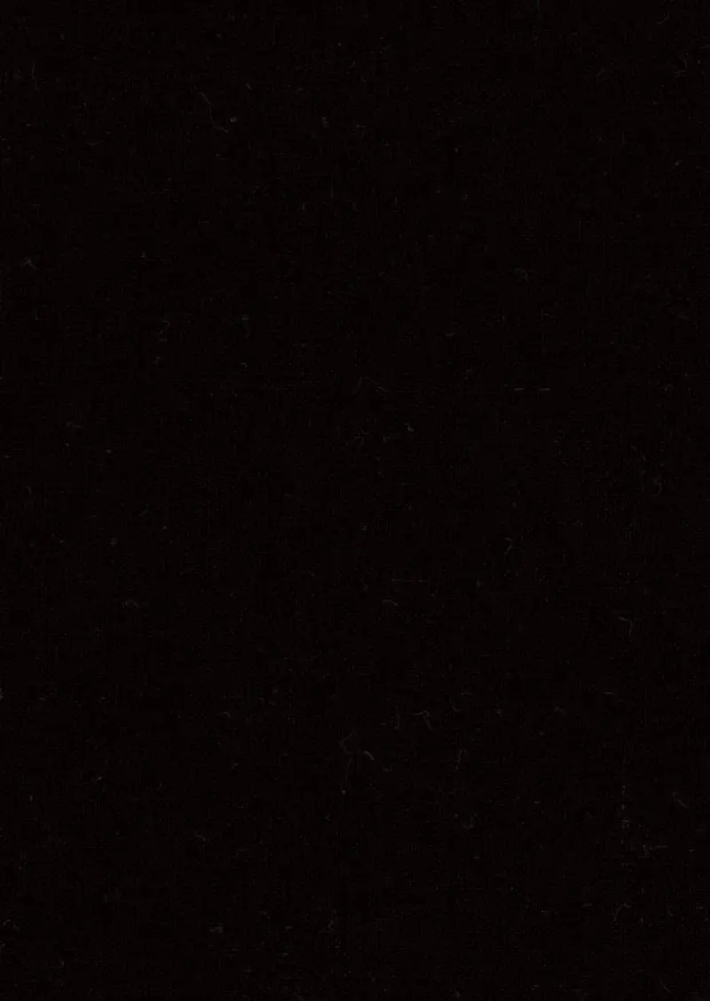 Black Magic By Maywood Studio 100% Cotton Masblm 1