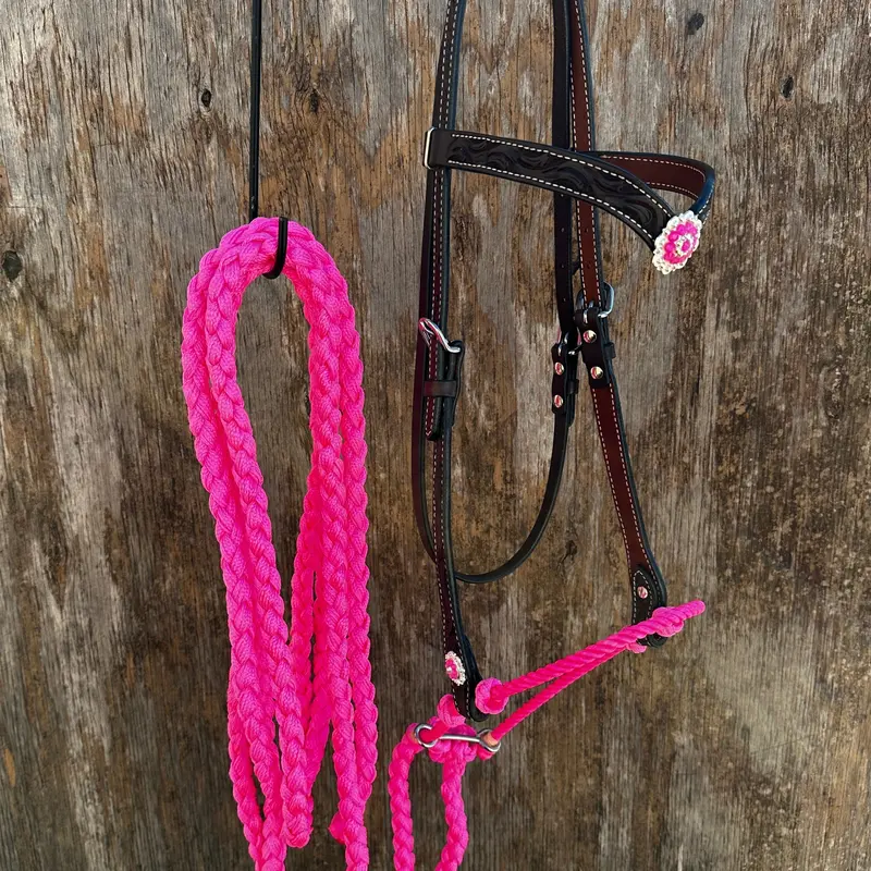 Black V-Brow Neon Pink Loping Hackamore #Lhk101 1