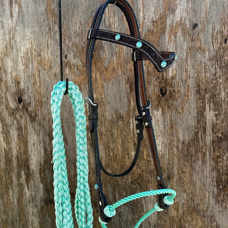 Black V-Brow Turquoise Loping Hackamore #Lhk104 1