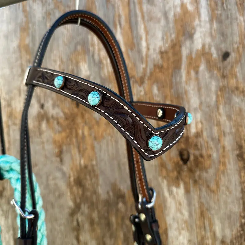 Black V-Brow Turquoise Loping Hackamore #Lhk104 2