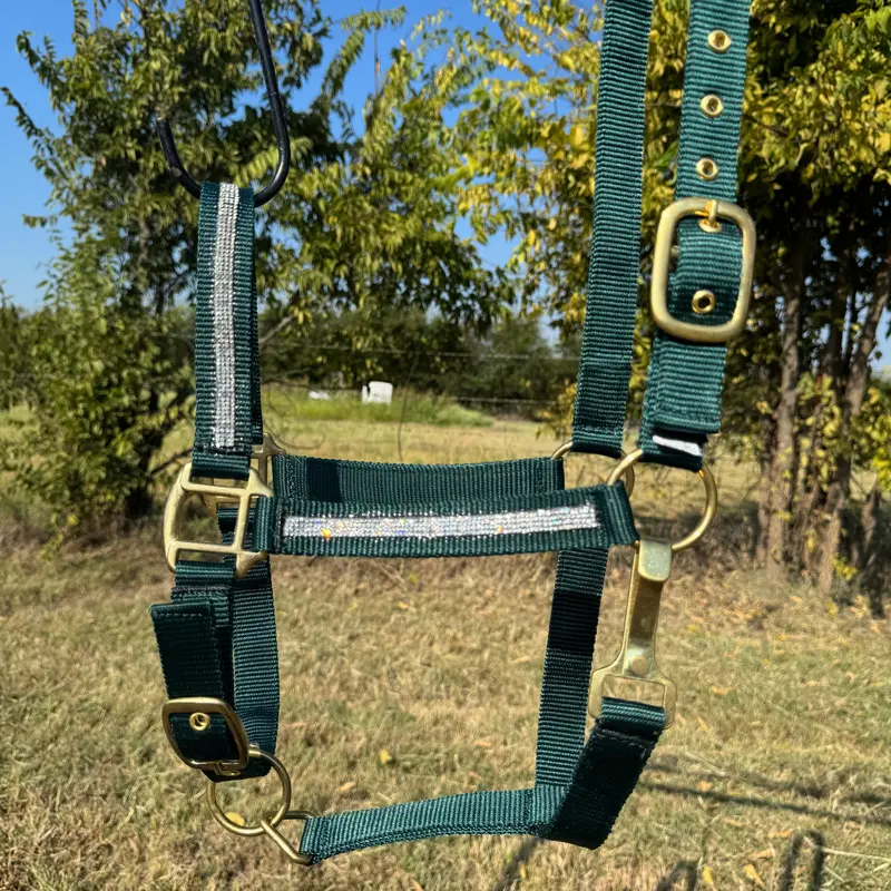 Bling Nylon Horse Halter - Assorted Colors 4