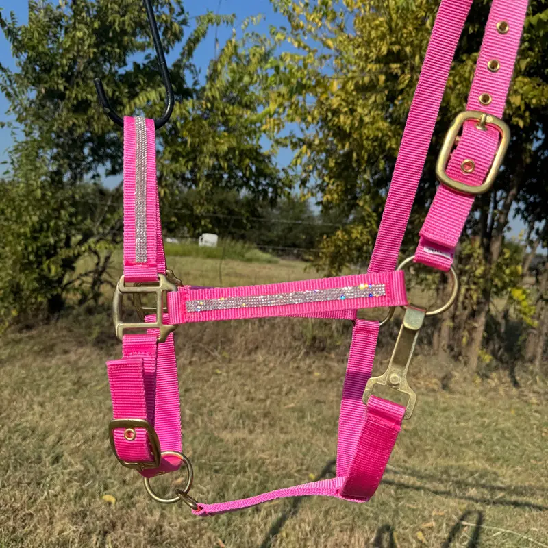Bling Nylon Horse Halter - Assorted Colors 7