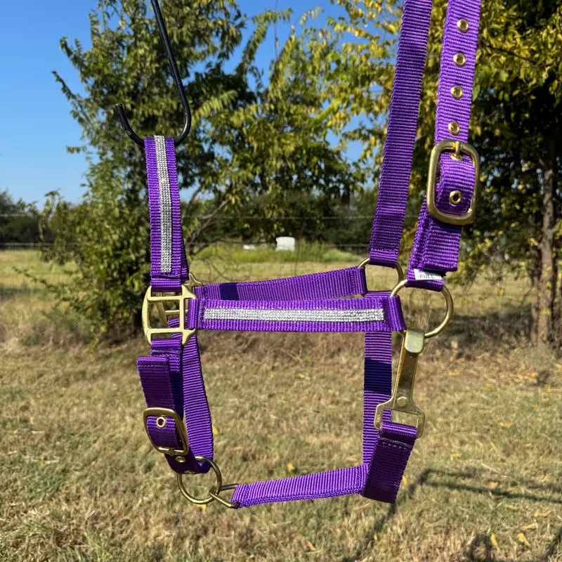 Bling Nylon Horse Halter - Assorted Colors 8