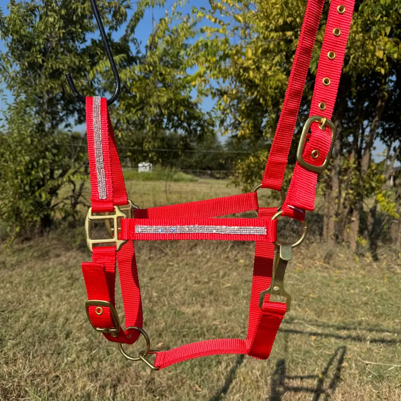 Bling Nylon Horse Halter - Assorted Colors 9