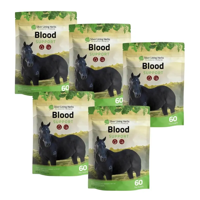 Blood Support For Horses 2