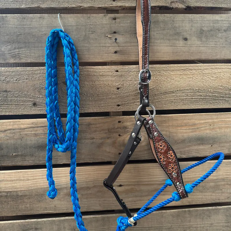 Blue Flower Power Tooled Lariat & Leather Combo Halter 1