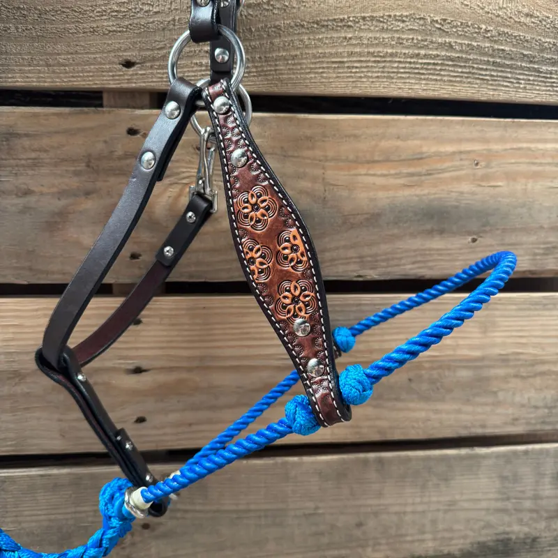 Blue Flower Power Tooled Lariat & Leather Combo Halter 2