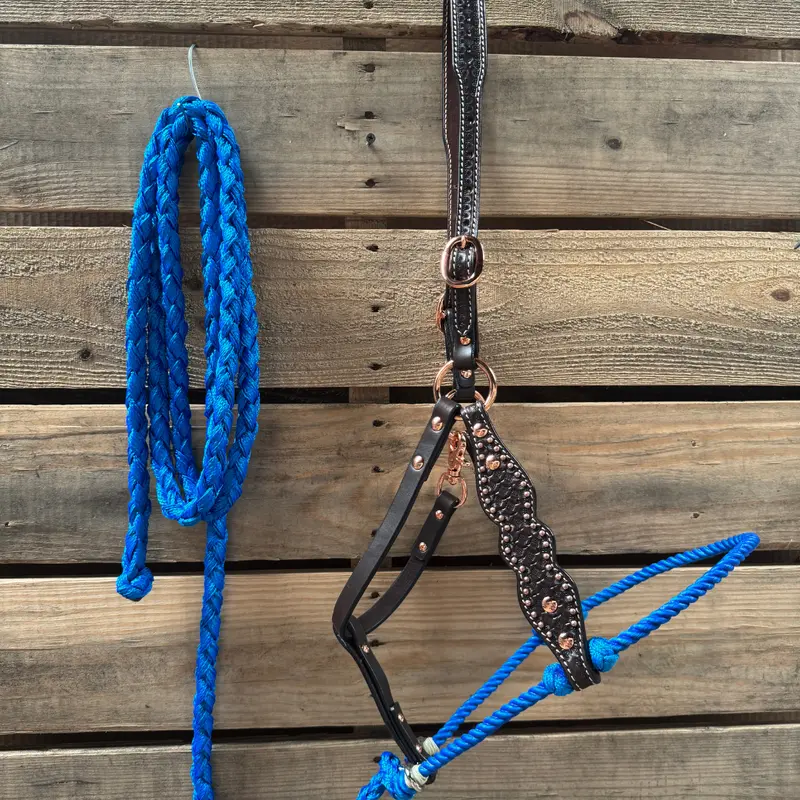 Blue Honeycomb Tooled Lariat & Leather Combo Halter 1
