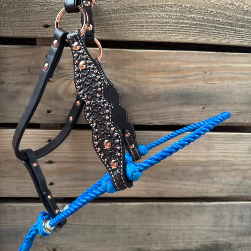 Blue Honeycomb Tooled Lariat & Leather Combo Halter 2