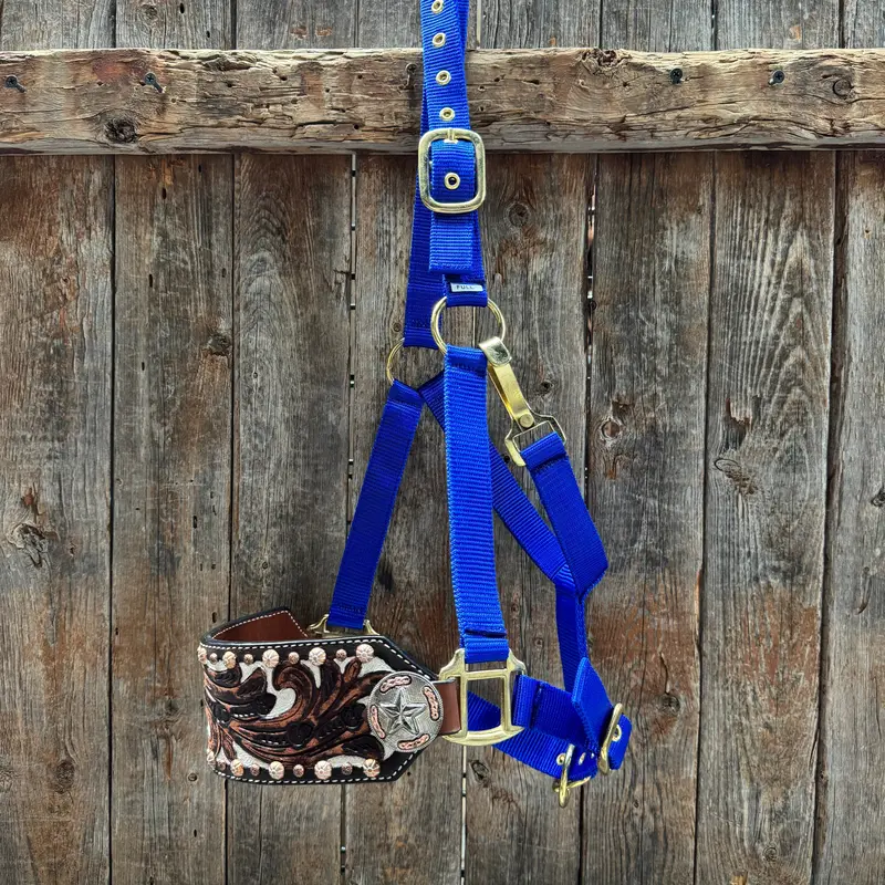 Blue Nylon Horse Halter – Bronc Noseband With Western Conchos Nh112 1