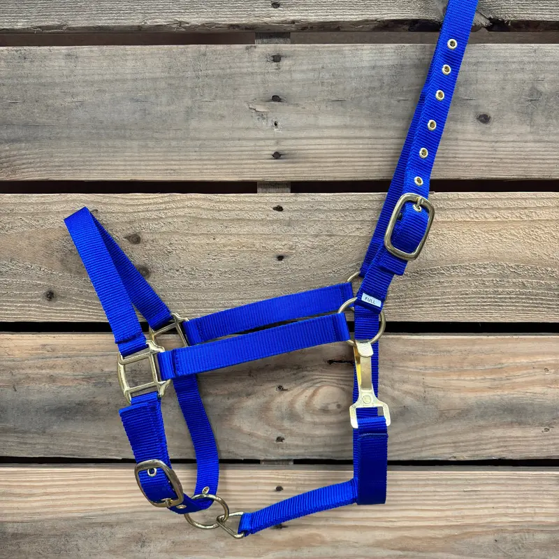 Blue Nylon Horse Halter Nhblue 2