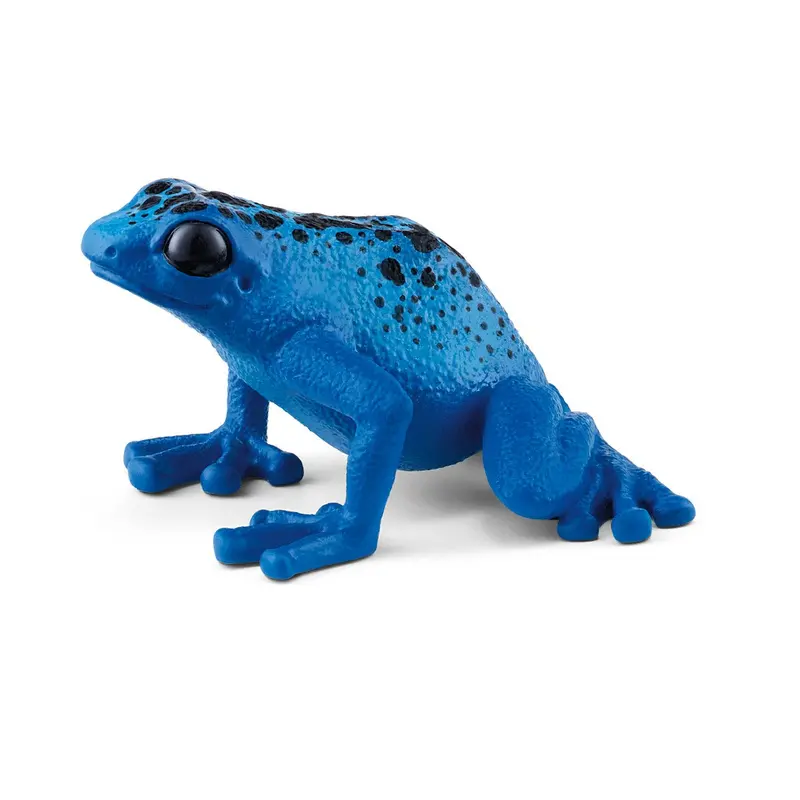 Blue Poison Dart Frog 1