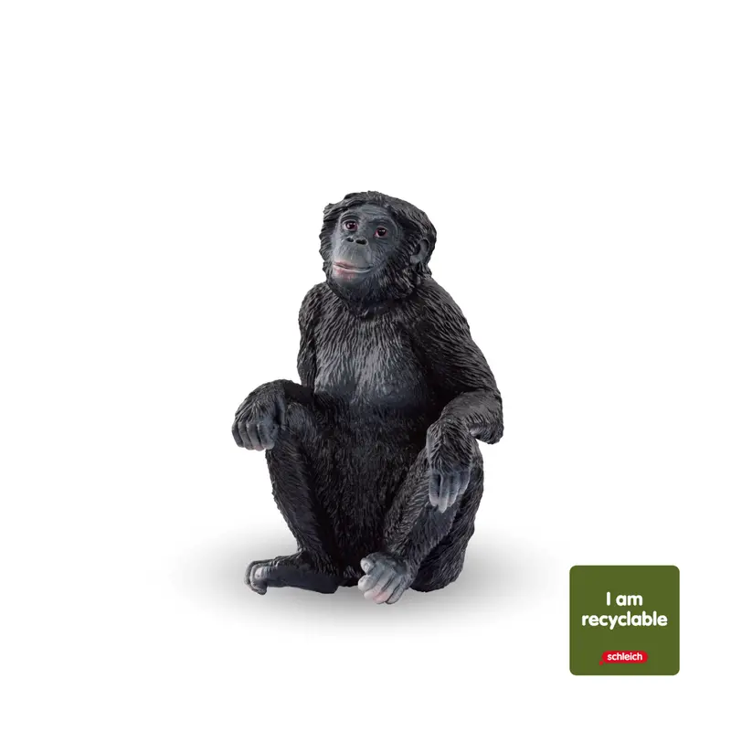 Bonobo Female (Circular) 1