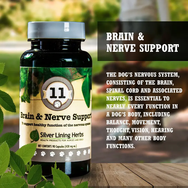 Brain & Nerve Support For Canines 2