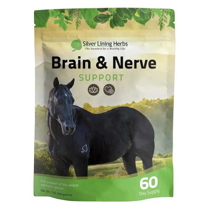 Brain & Nerve Support For Horses 1
