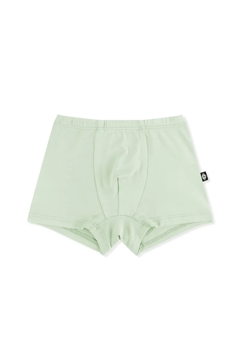 Briefs In Basil 1