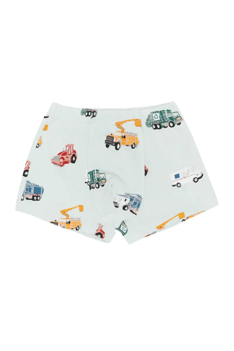 Briefs In City Vehicles 1