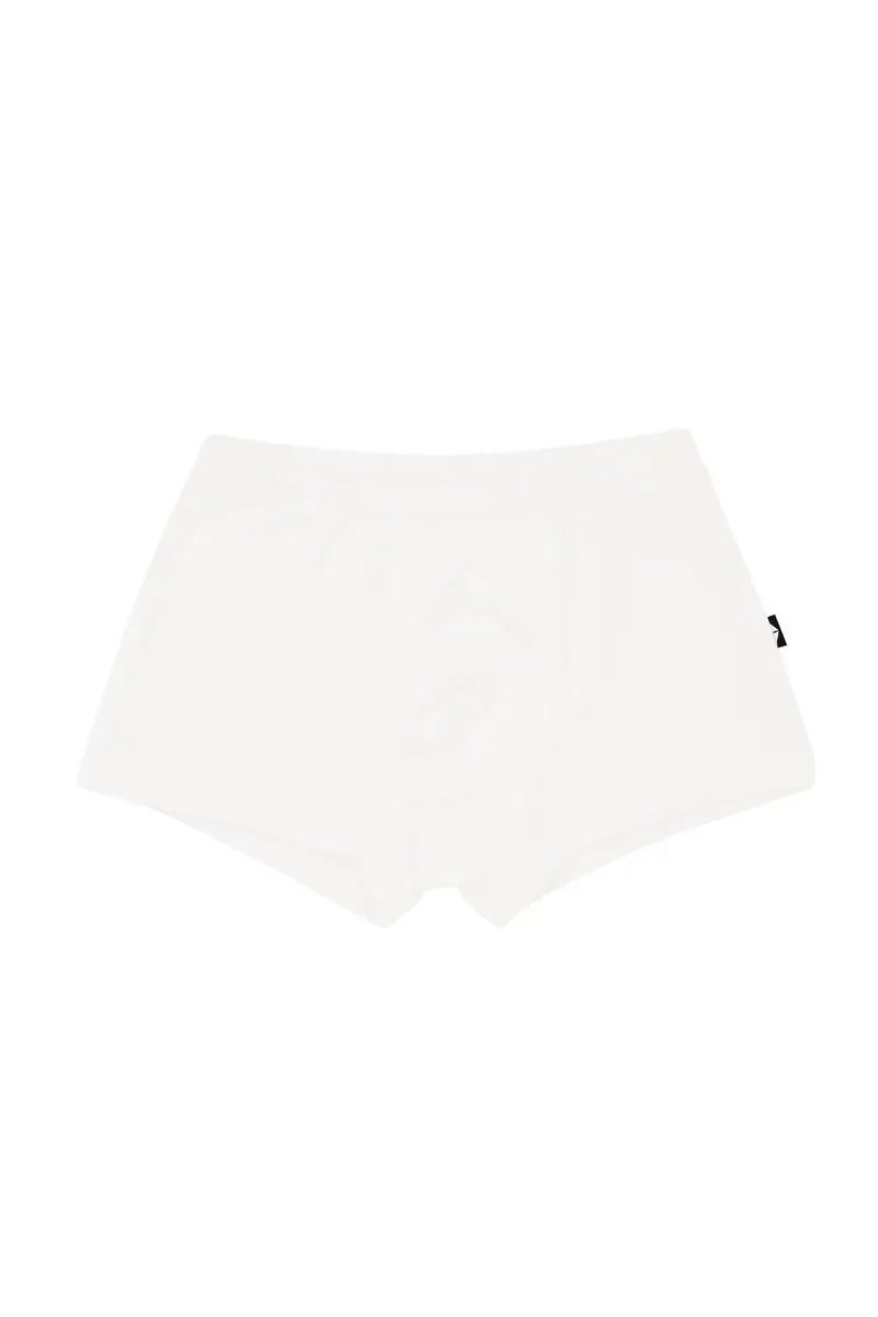 Briefs In Cloud 1