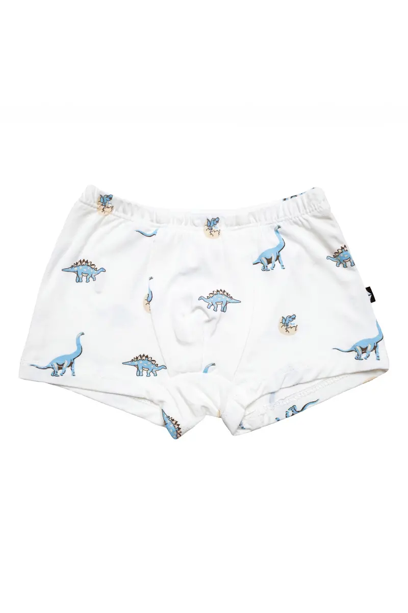 Briefs In Jurassic 1