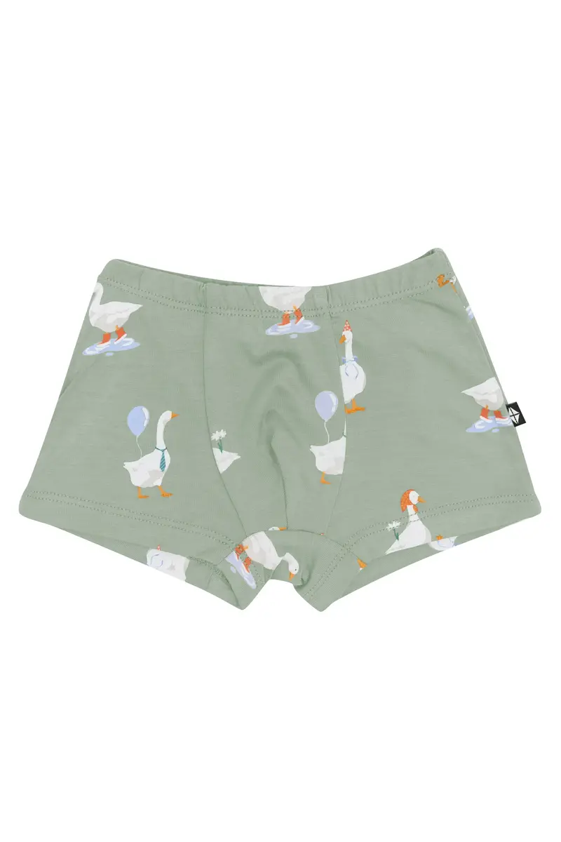 Briefs In Silly Goose 1
