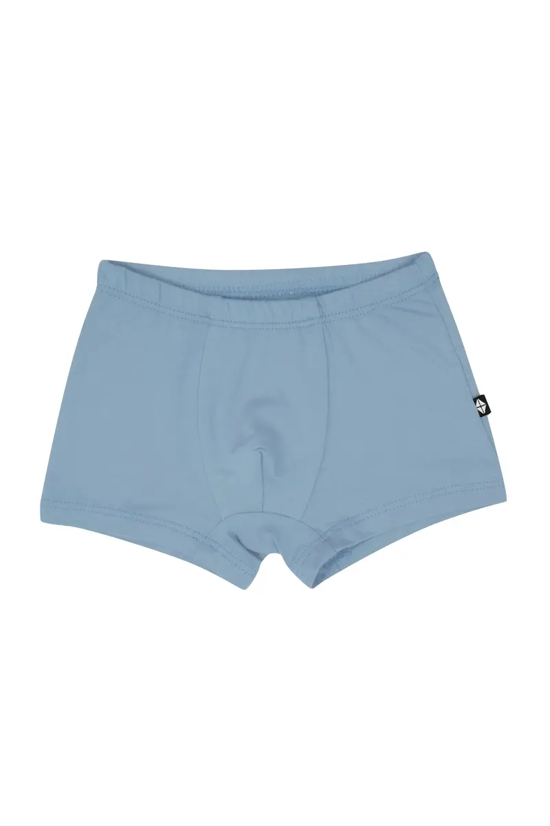 Briefs In Slate 1