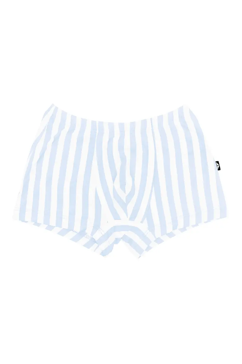 Briefs In Small Mist Stripe 1