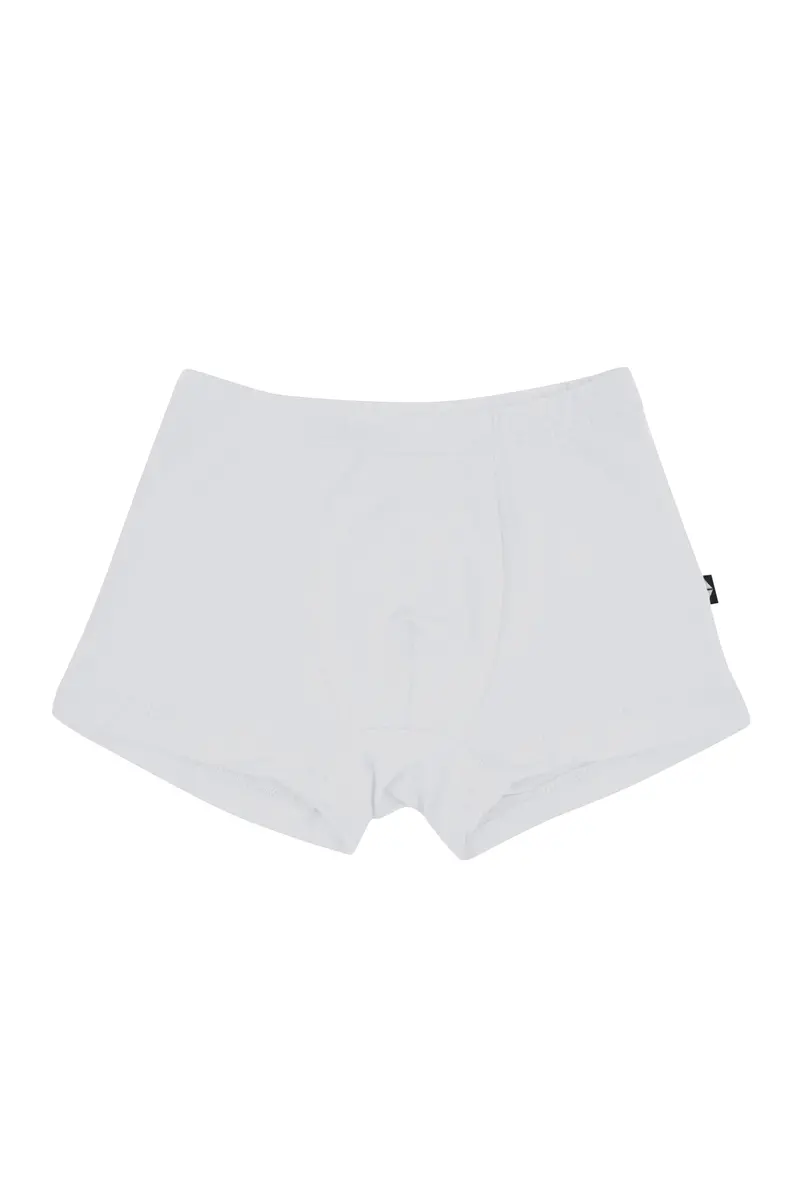 Briefs In Storm 1