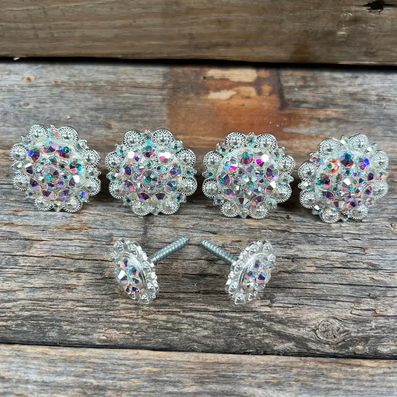 Bright Silver Ab Saddle Conchos 1