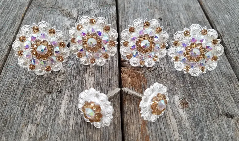 Bright Silver Champagne & Ab Saddle Conchos 1