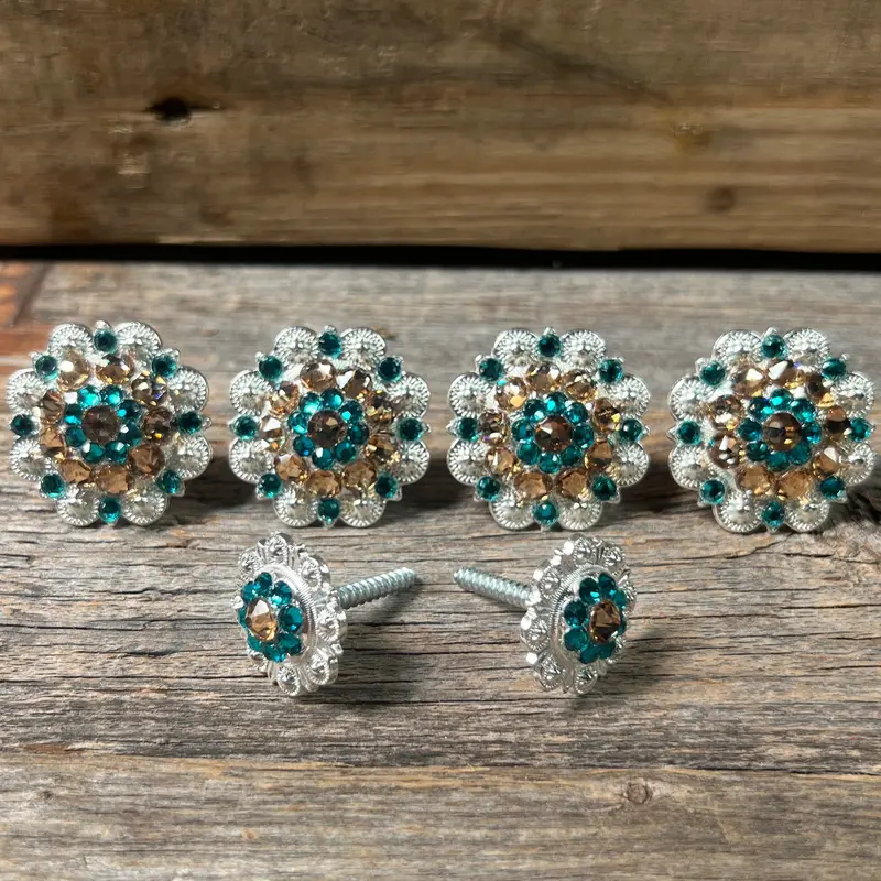 Bright Silver Champagne & Teal Saddle Conchos 1