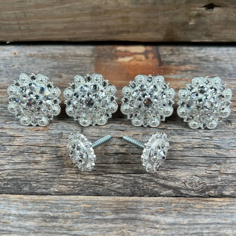 Bright Silver Clear Saddle Conchos 1