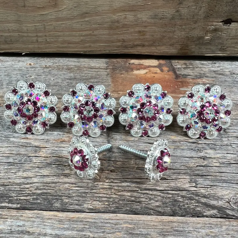 Bright Silver Fuchsia & Ab Saddle Conchos 1