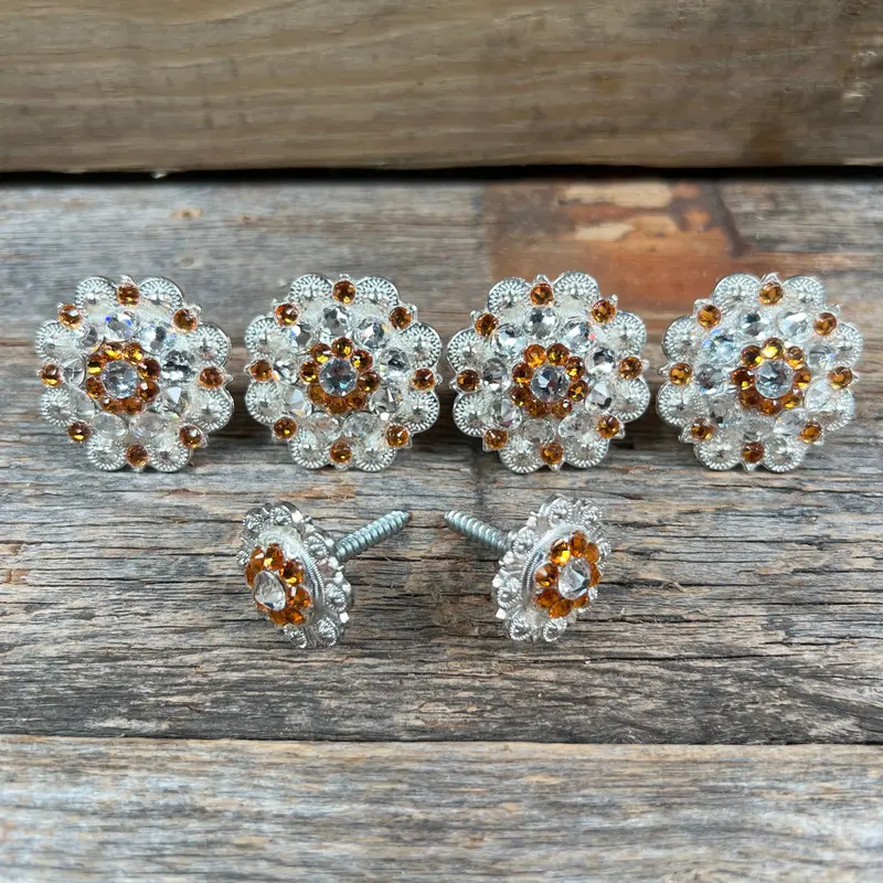Bright Silver Golden & Clear Saddle Conchos 1