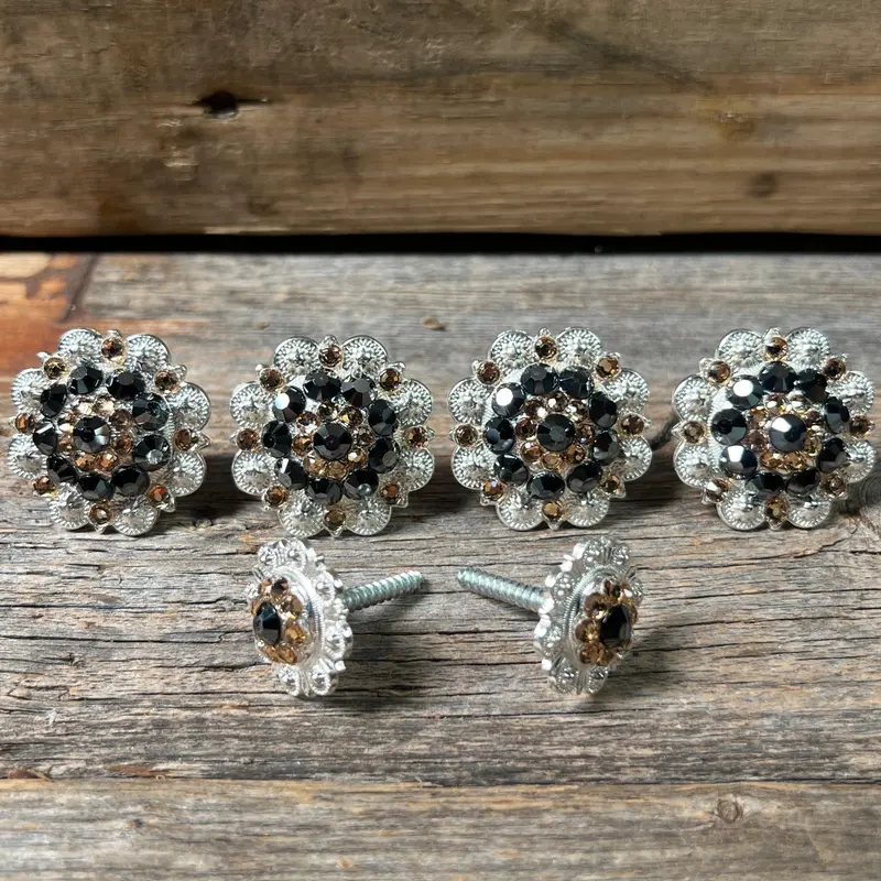 Bright Silver Jet & Champagne Saddle Conchos 1