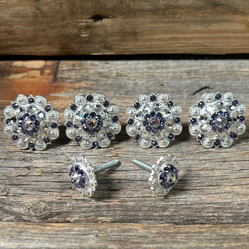 Bright Silver Lilac & Clear Saddle Conchos 1