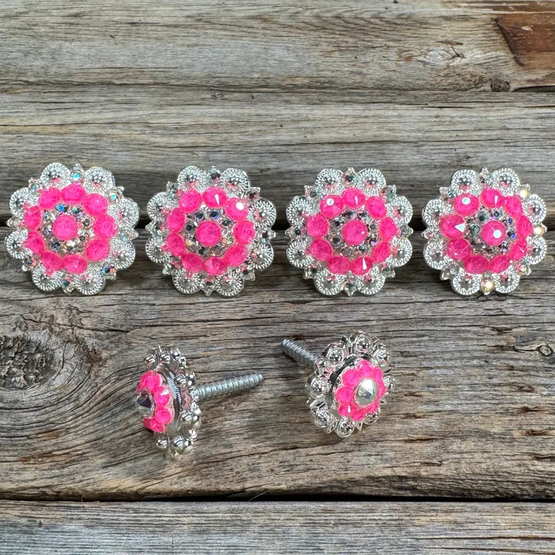 Bright Silver Neon Pink & Ab Saddle Conchos 1