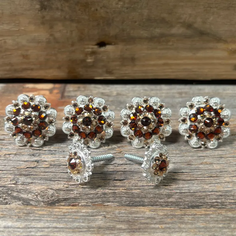 Bright Silver Topaz & Champagne Saddle Conchos 1