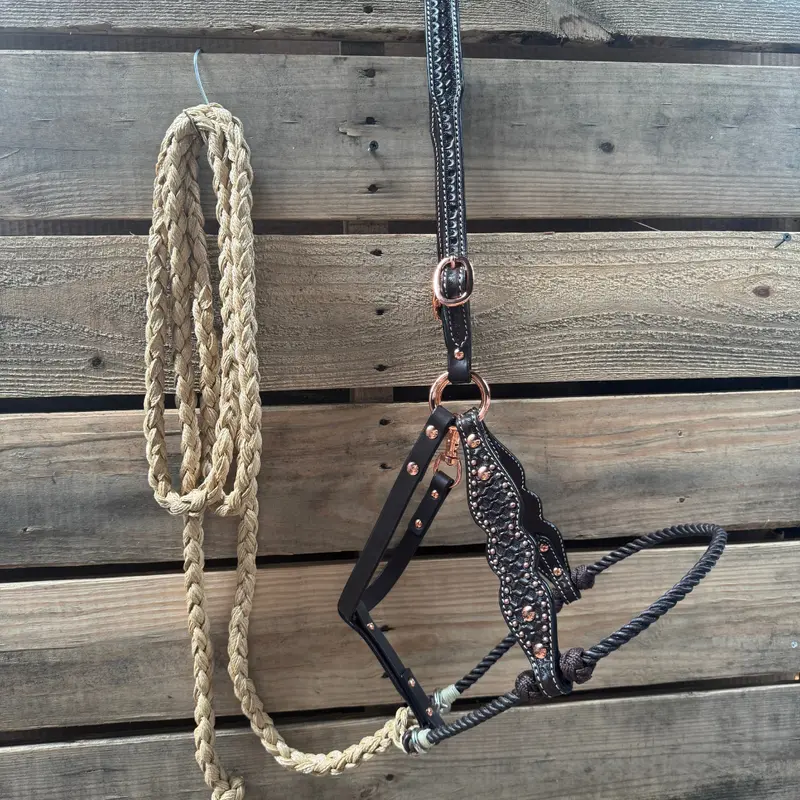 Brown Honeycomb Tooled Lariat & Leather Combo Halter 1