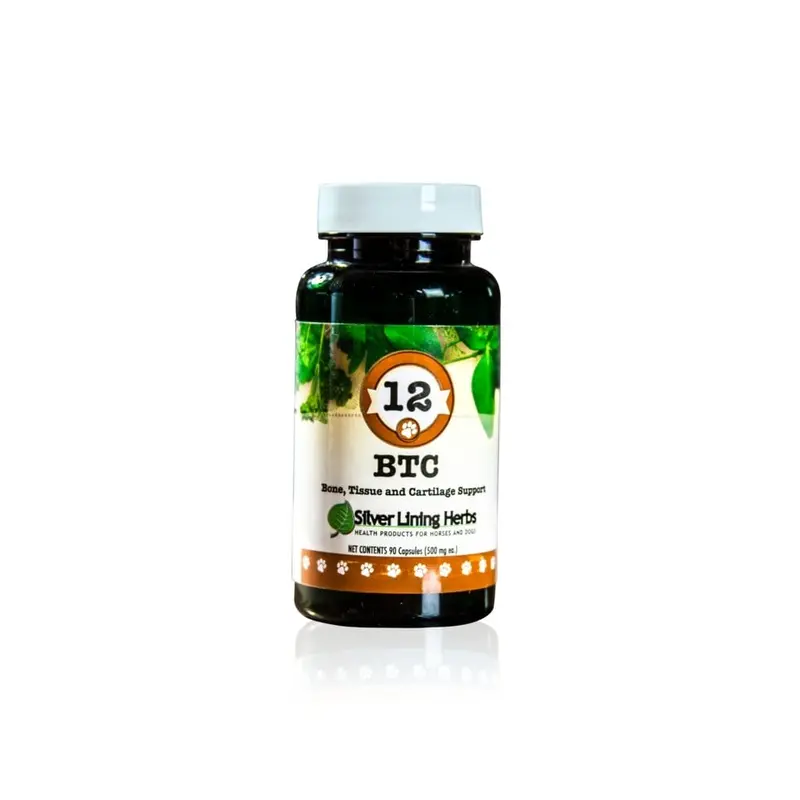 Btc Bone Tissue And Cartilage Support 1