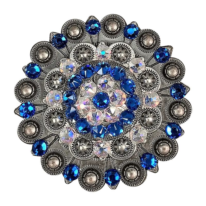Capri & Ab Antique Silver Berry Jacket European Crystal Concho 1