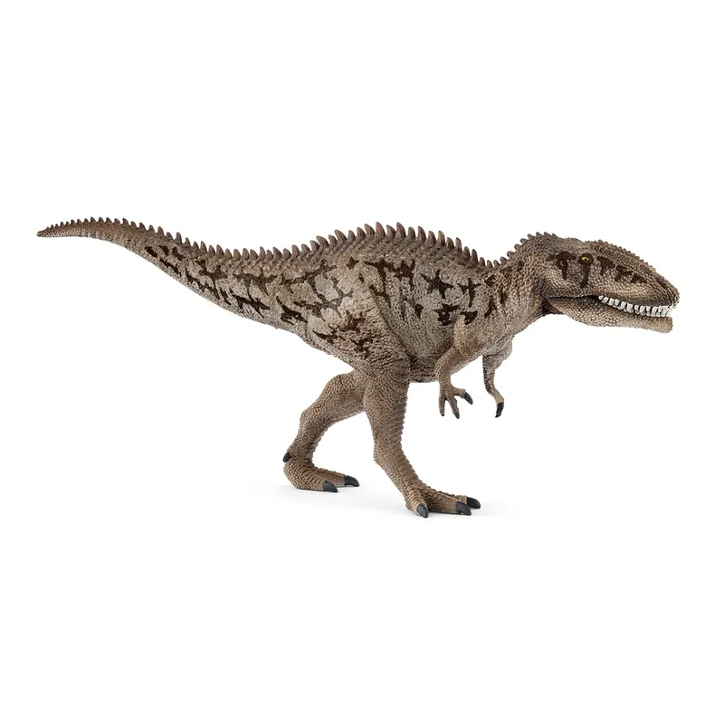 Carcharodontosaurus 1