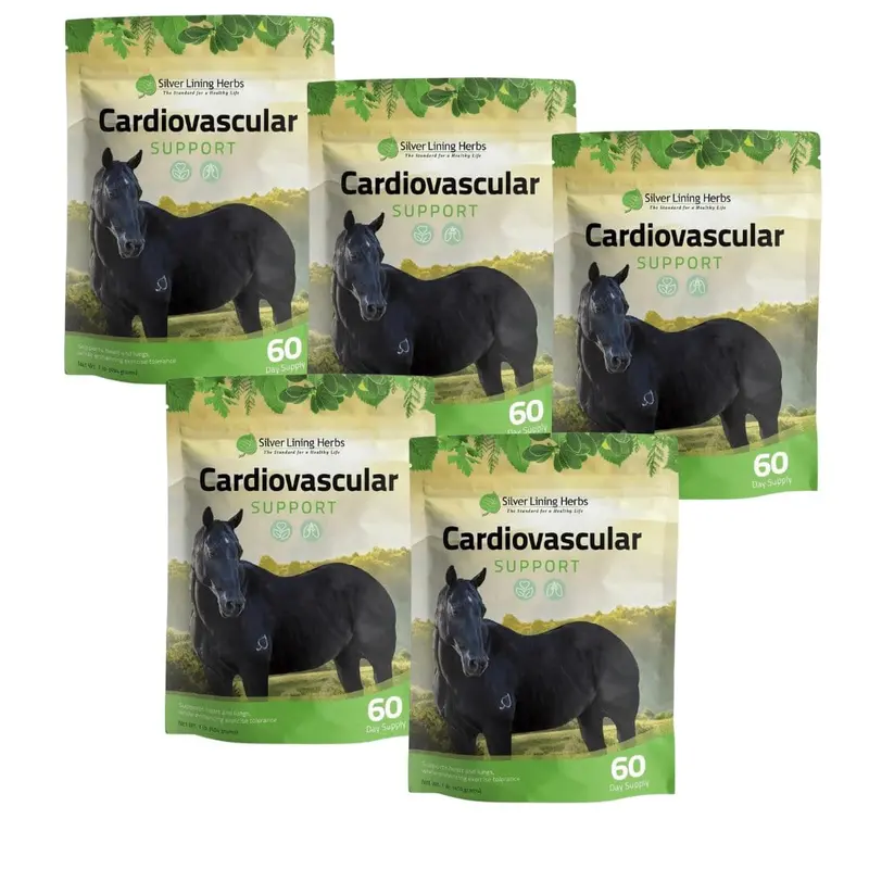 Cardiovascular Support For Horses 2