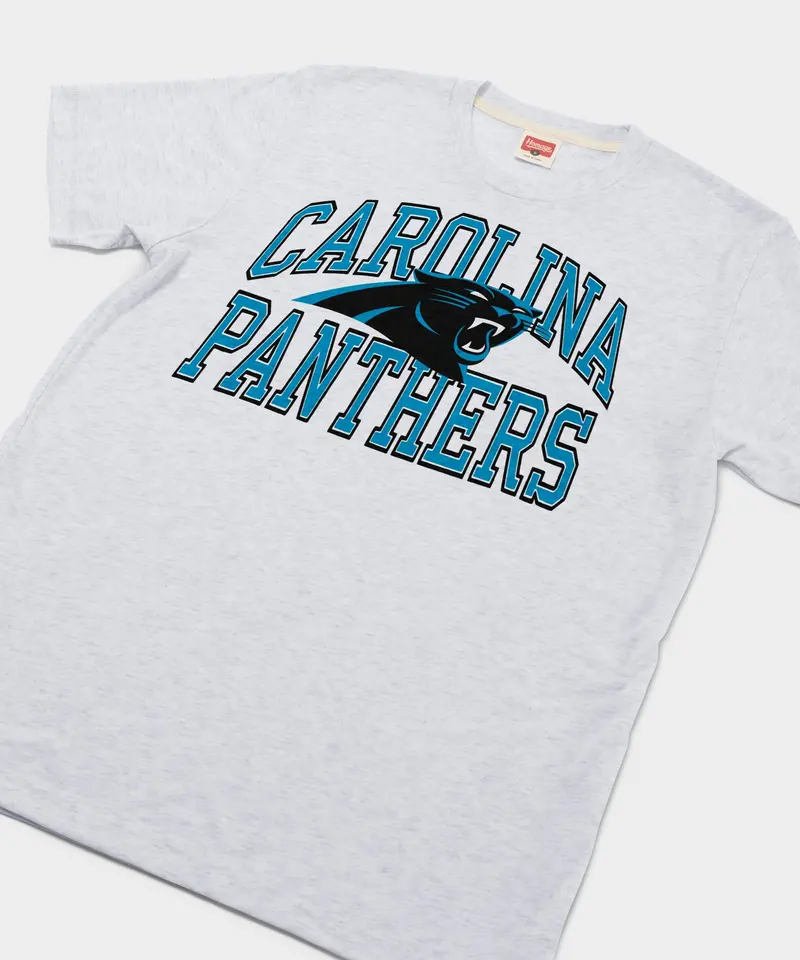 Carolina Panthers Arch 2