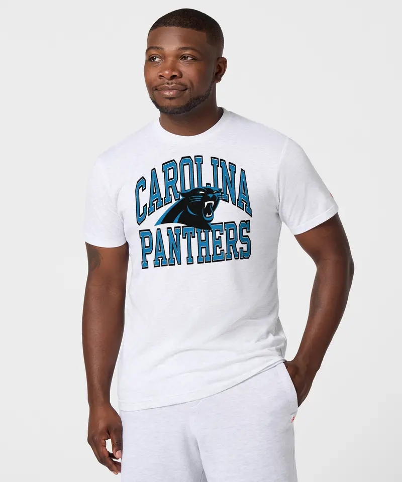 Carolina Panthers Arch 3