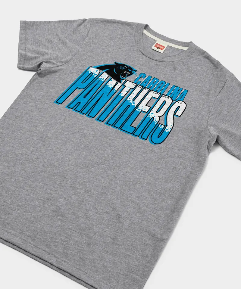 Carolina Panthers Color Splash 2
